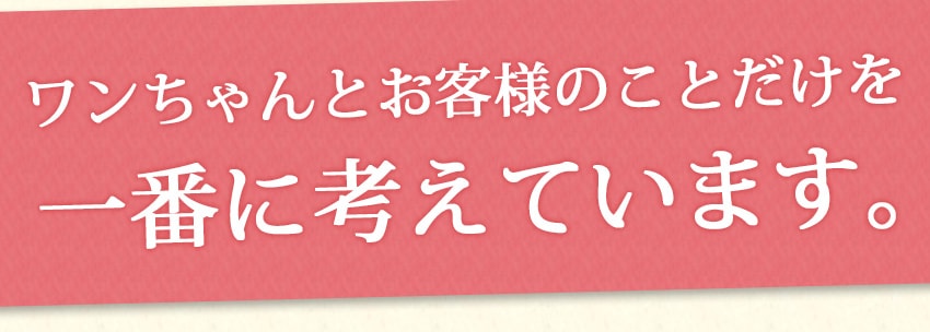 ワンちゃんとお客様のことだけを一番に考えています。