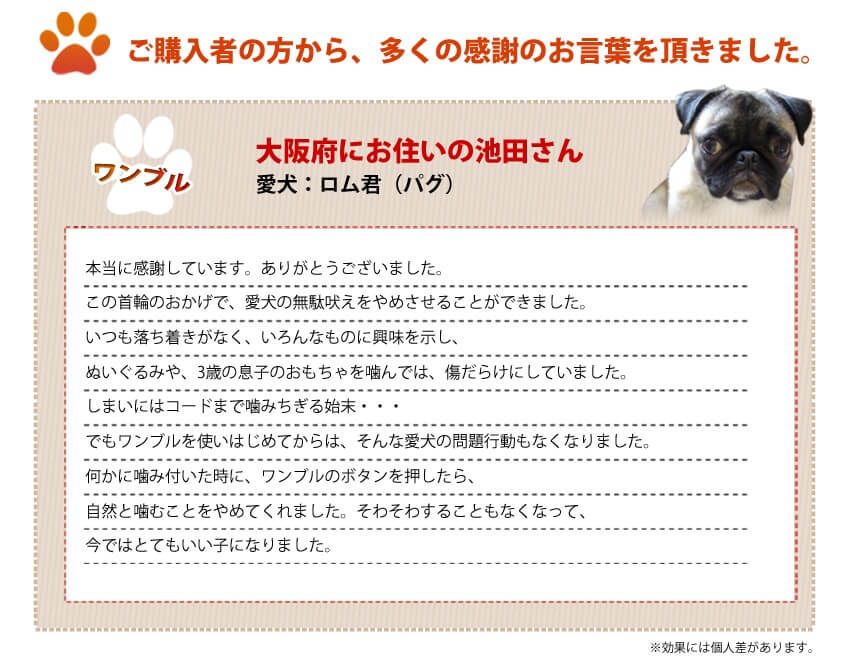 購入者の方から多くの感謝の言葉を頂きました。