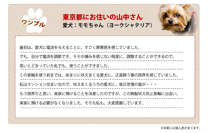東京都にお住まいの山中さん