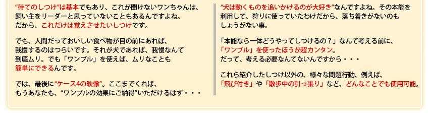 待てのしつけは基本であり、待てができないワンちゃんは飼い主をリーダーと思っていないこともあります。だからこれだけは覚えさせたいしつけです。ワンブルを使えば簡単にしつけができます。また、犬は動くものを追いかけるのが大好き。その本能を利用して狩りに使っているので、普段落ち着きがないのも当然。本能ならしつけできないの?とそんな心配は御無用。ワンブルであれば簡単に落ち着きがない犬もしつけられます。飛びつきや散歩中の引っ張りなど、どんなことでもしつけできます。