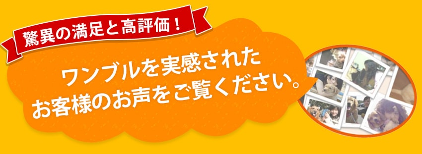 ワンブルを実感されたお客様の声をご覧ください