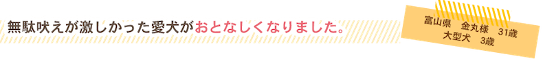 しつけ教室でも直らなかった無駄吠えがワンブルで直りました。