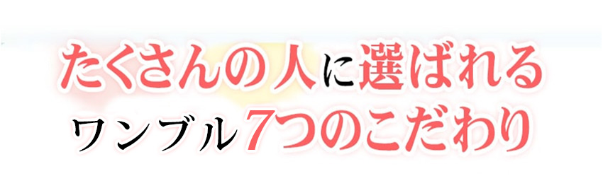 多くの方が絶賛するワンブル7つのこだわりPOINT