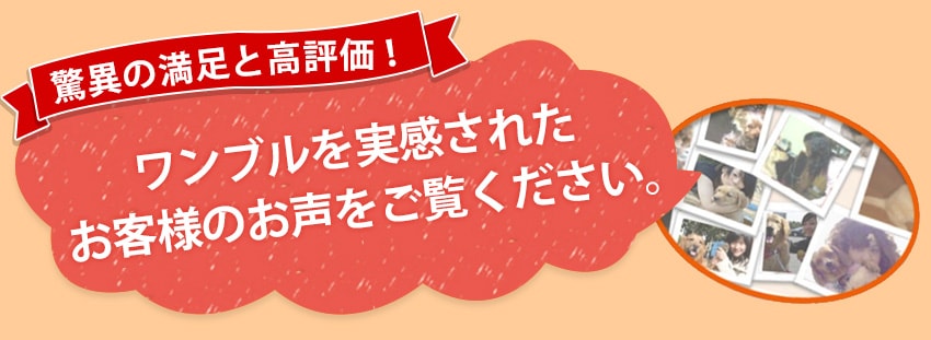 無駄吠え防止首輪「ワンブル」を実感されたお客様のお声をご覧ください。