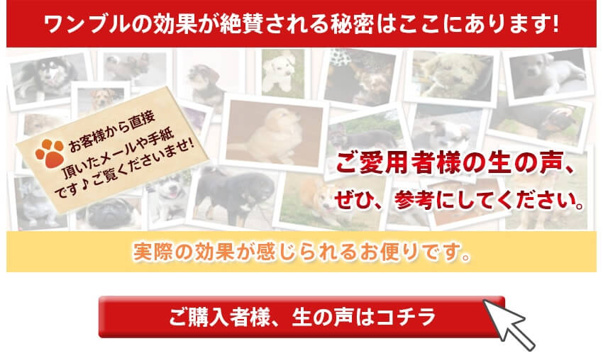 お客様の声を確認する