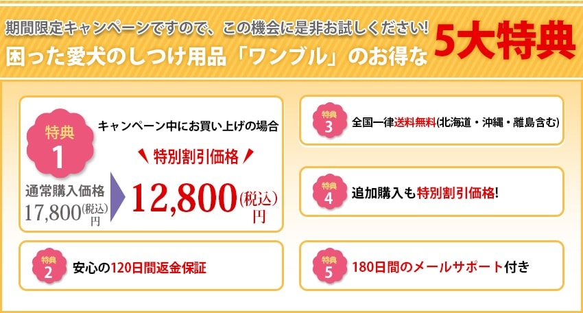 ワンブルのお得な5大特典