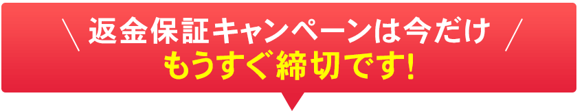 お得なチャンスは今だけ