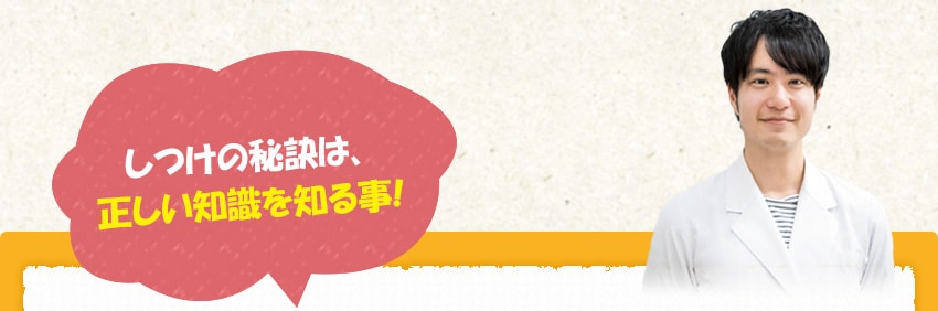 しつけの秘訣は、正しい知識を知る事
