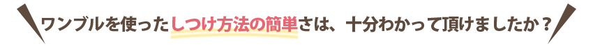 ワンブルを使ったしつけ方法の簡単さは、十分わかって頂けましたか?