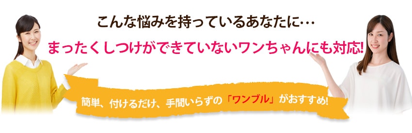 こんな悩みを持っているあなたに、まったくしつけができていないワンちゃんにも対応、簡単、付けるだけ、手間いらずの「ワンブル」がおすすめ