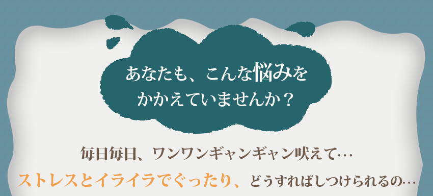 あなたも、こんな悩みをかかえていませんか?毎日毎日、ワンワンギャンギャン吠えて、ストレスとイライラでぐったり、どうすればしつけられるの
