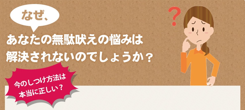なぜ、あなたの無駄吠えの悩みは解決されないのでしょうか?今のしつけ方法は本当に正しい?