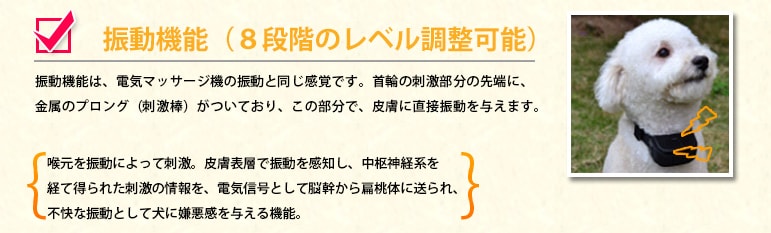 振動機能(8段階のレベル調整可能)振動機能は、電気マッサージ機の振動と同じ感覚です。首輪の刺激部分の先端に、金属のプロング(刺激棒)がついており、この部分で、皮膚に直接振動を与えます。喉元を振動によって刺激。皮膚表層で振動を感知し、中枢神経系を経て得られた刺激の情報を、電気信号として脳幹から扁桃体に送られ、不快な振動として犬に嫌悪感を与える機能。