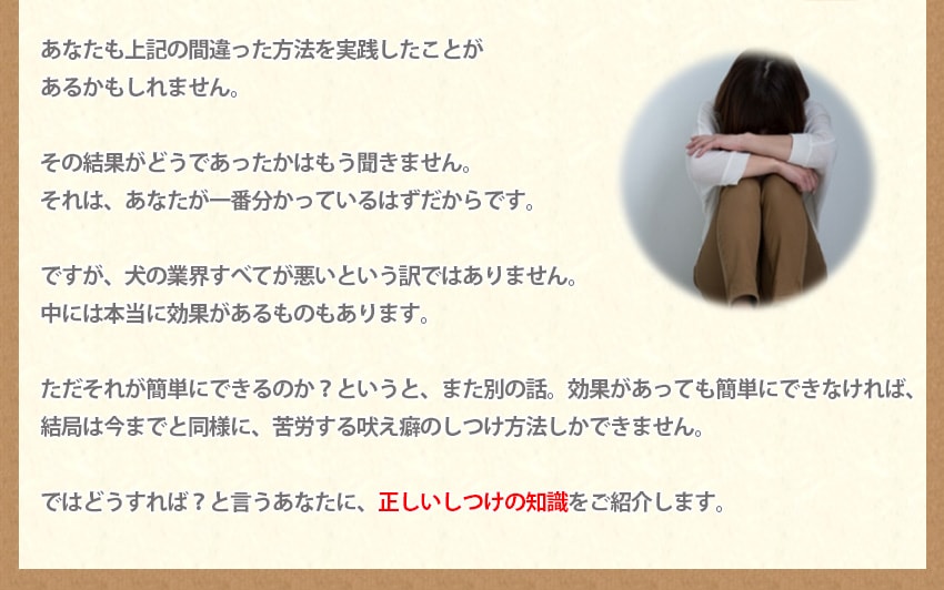 あなたも上記の間違った方法を実践したことがあるかもしれません。犬の業界すべてが悪いという訳ではありません。中には本当に効果があるものもあります。ただそれが簡単にできるのか?というと、また別の話。効果があっても簡単にできなければ、結局は今までと同様に、苦労する吠え癖のしつけ方法しかできません。